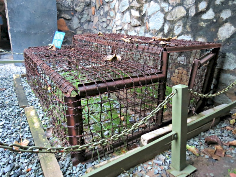 tiger-cages